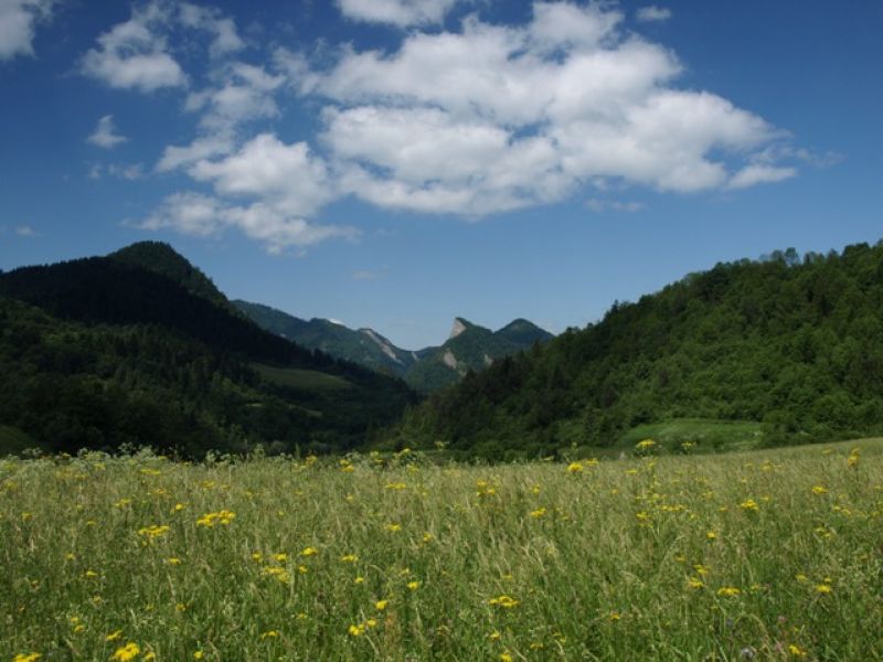 Holica , Sokolica z Leśnicy